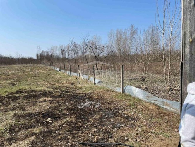 Plac, Kelebija, 59.56a (ID: 101197) | Nekretnine Subotica