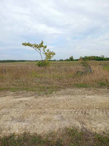 Plac, Željezničko Naselje, 12.16a (ID: 109231) | Nekretnine Subotica