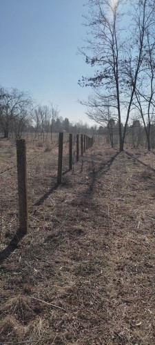 Plac, Čavolj bb, 109a (ID: 113231) | Nekretnine Subotica