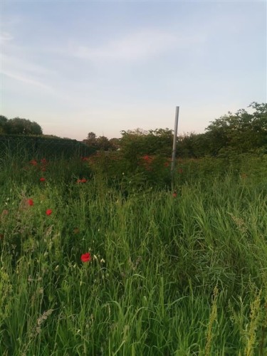 Plac, Mali Bajmok, 70a (ID: 100241) | Nekretnine Subotica