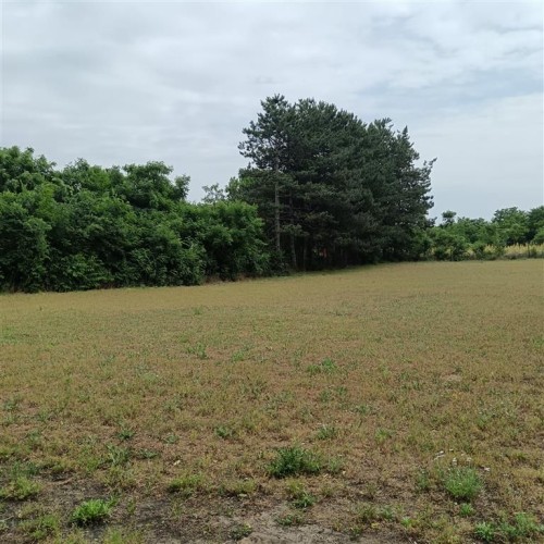 Plac, Peščara, 14a (ID: 100243) | Nekretnine Subotica