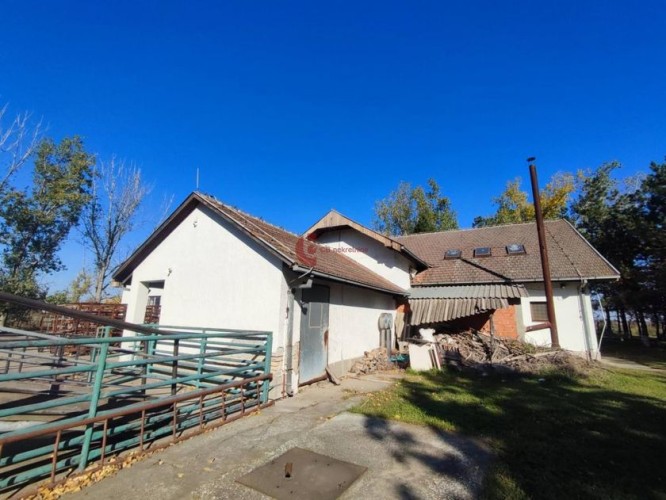 Poslovni prostor, Đurđin, 404m2 (ID: 118246) | Nekretnine Subotica