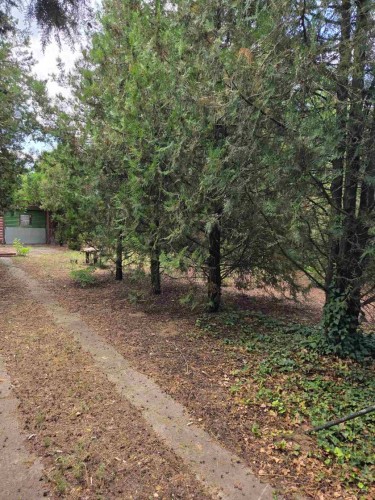 Plac, Beli Golub 12, 34.74a (ID: 103249) | Nekretnine Subotica