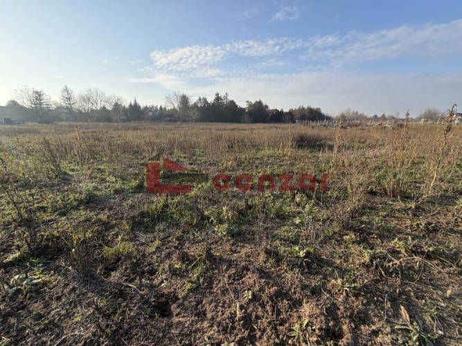 Plac, Palić, 7.96a (ID: 117262) | Nekretnine Subotica