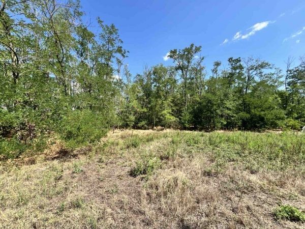 Plac, Mali Radanovac, 25a (ID: 119269) | Nekretnine Subotica