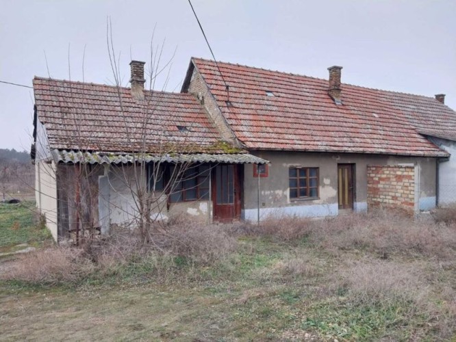 Kuća, Makova Sedmica, 50m2 (ID: 87269) | Nekretnine Subotica