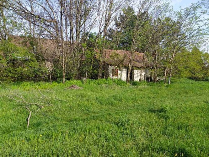 Plac, Hajdukovo, 14.61a (ID: 116279) | Nekretnine Subotica