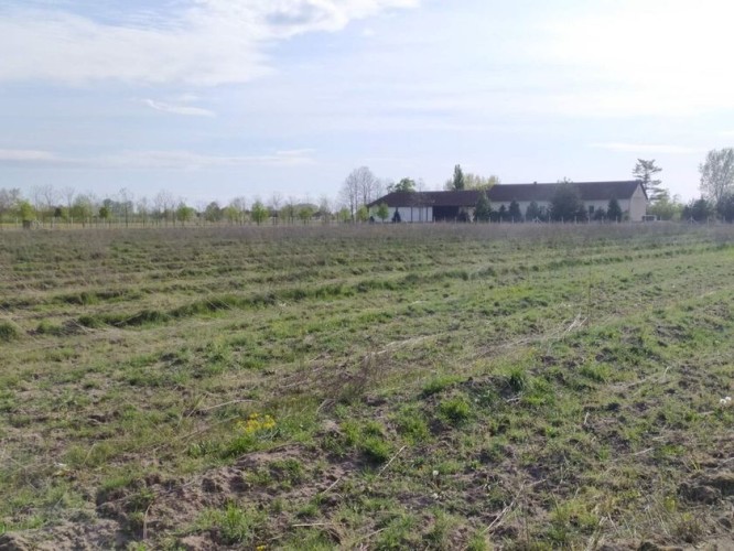 Plac, Bački Vinogradi, 143.77a (ID: 116290) | Nekretnine Subotica