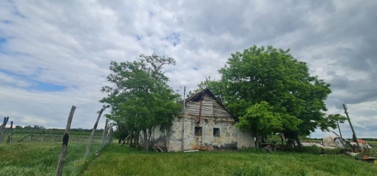 Kuća, Salaš sa vinogradom i jezerom, 93m2 (ID: 108291) | Nekretnine Subotica