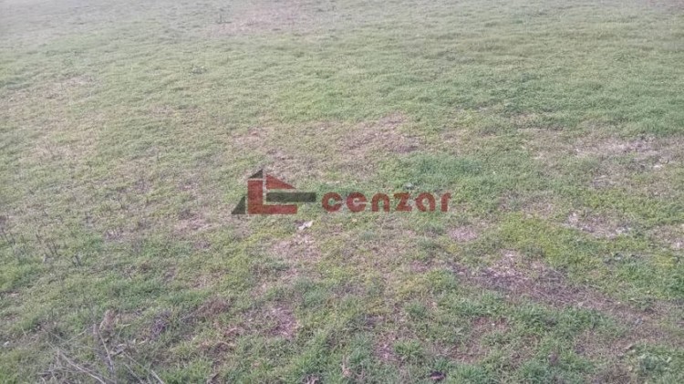 Plac, Dudova Šuma, 10.37a (ID: 114304) | Nekretnine Subotica