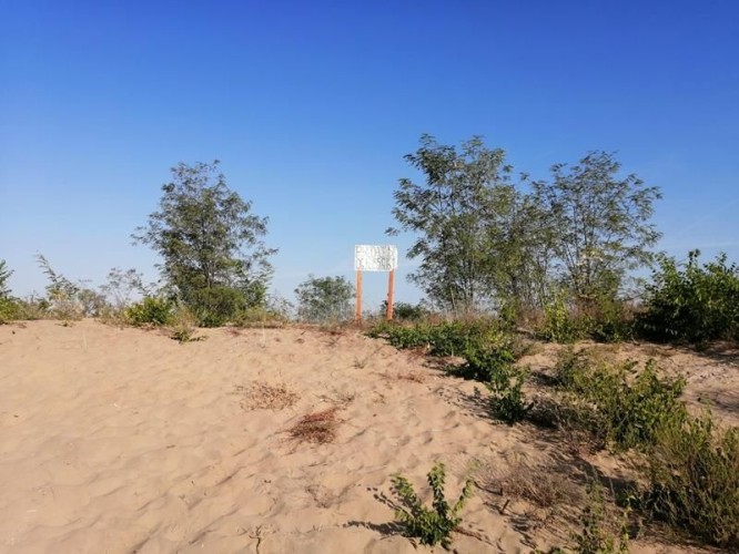 Plac, Srpski Šor, 68.31a (ID: 114306) | Nekretnine Subotica