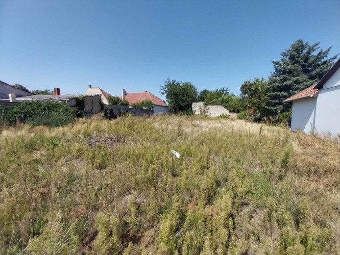 Plac, Novi Grad, 7.5a (ID: 117330) | Nekretnine Subotica