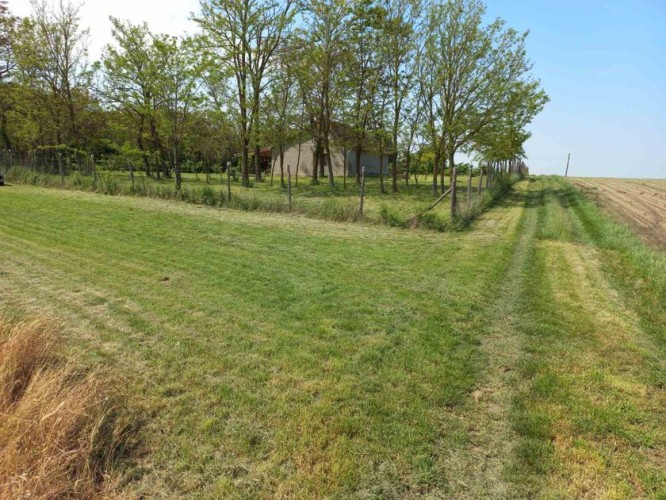 Plac, Mala Bosna Salaši, 55a (ID: 95343) | Nekretnine Subotica