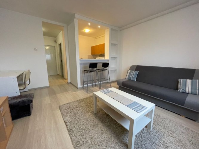 Stan, Segedinski Put 15, 29m2 (ID: 116353) | Nekretnine Subotica