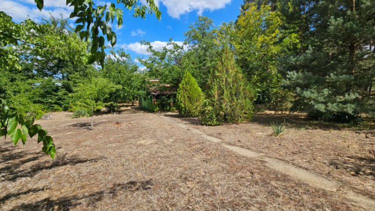 Plac, Srednja BB, 45a (ID: 111357) | Nekretnine Subotica