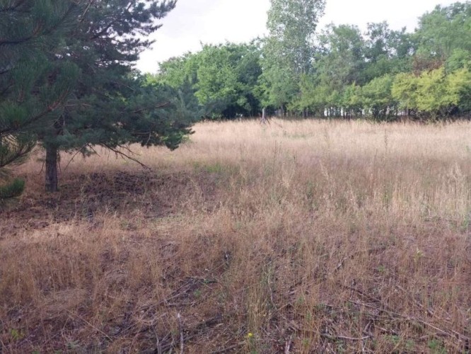 Plac, Makova Sedmica, 17.83a (ID: 117357) | Nekretnine Subotica