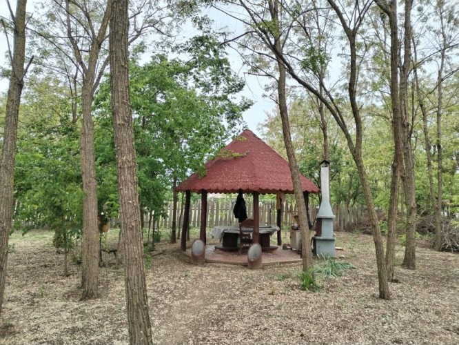 Plac, Palmina, 53.1a (ID: 105378) | Nekretnine Subotica