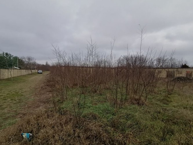 Plac, Makova Sedmica, 86.85a (ID: 116378) | Nekretnine Subotica