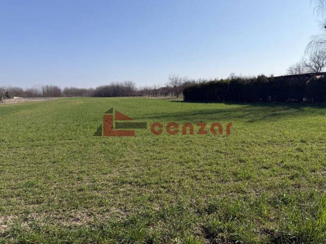 Plac, Radanovac, 500.12a (ID: 117380) | Nekretnine Subotica