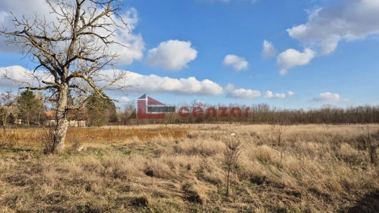 Plac, Kelebija, 23.83a (ID: 116393) | Nekretnine Subotica