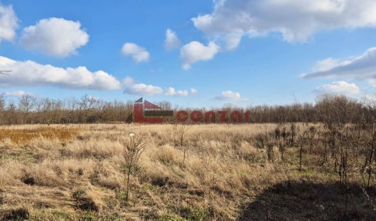 Plac, Kelebija, 23.82a (ID: 116397) | Nekretnine Subotica