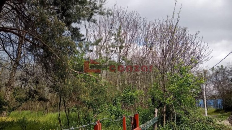 Plac, Srpski Šor, 36.61a (ID: 111432) | Nekretnine Subotica