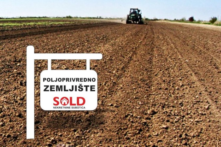 Plac, Kelebija, 231.58a (ID: 111434) | Nekretnine Subotica