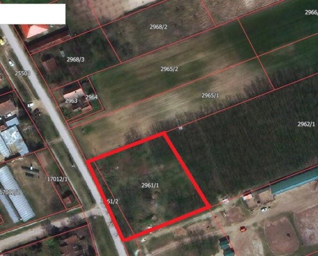 Plac, Radanovac, 33.16a (ID: 100454) | Nekretnine Subotica