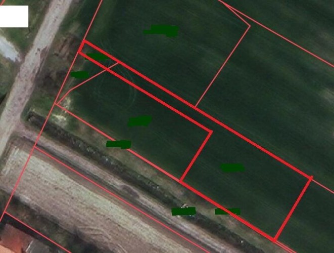 Plac, Mali Radanovac, 10.06a (ID: 100465) | Nekretnine Subotica