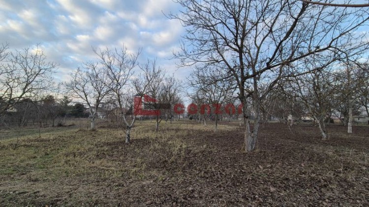 Plac, Palić, 7.68a (ID: 109504) | Nekretnine Subotica