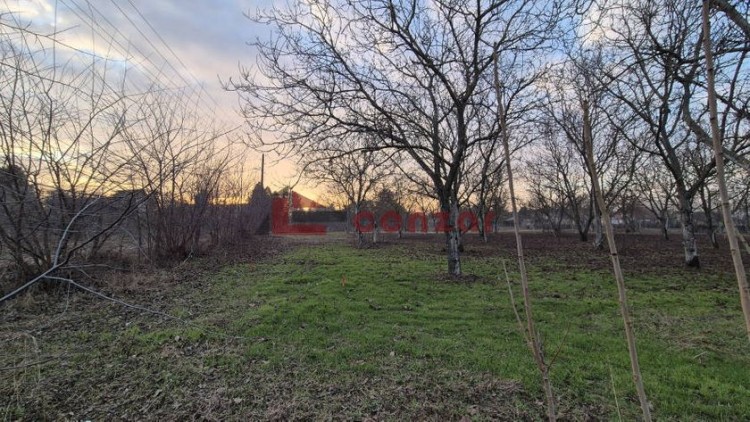 Plac, Palić, 11.78a (ID: 109506) | Nekretnine Subotica