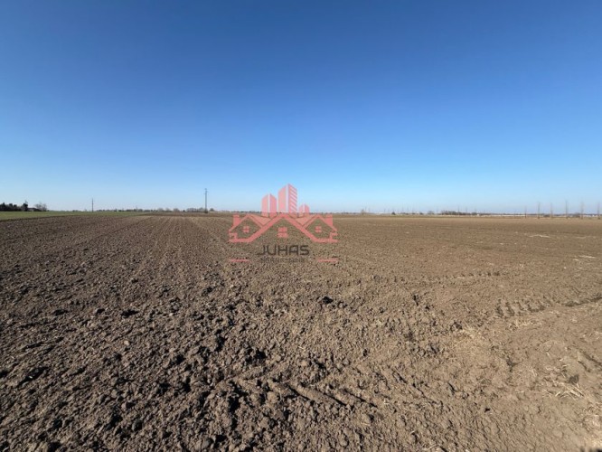 Plac, Palić, 107a (ID: 117517) | Nekretnine Subotica