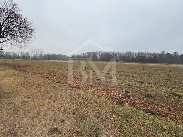 Plac, Palić, 48.59a (ID: 91529) | Nekretnine Subotica