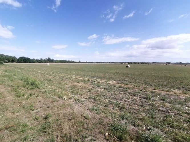 Plac, Mali Radanovac, 189.41a (ID: 116538) | Nekretnine Subotica