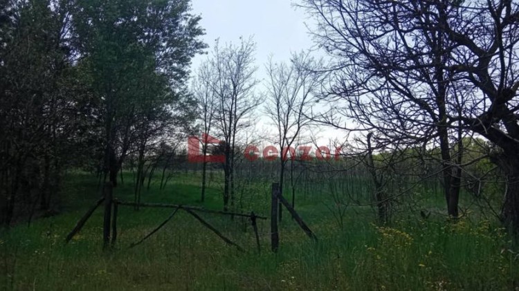 Plac, Kelebija, 231.58a (ID: 107551) | Nekretnine Subotica