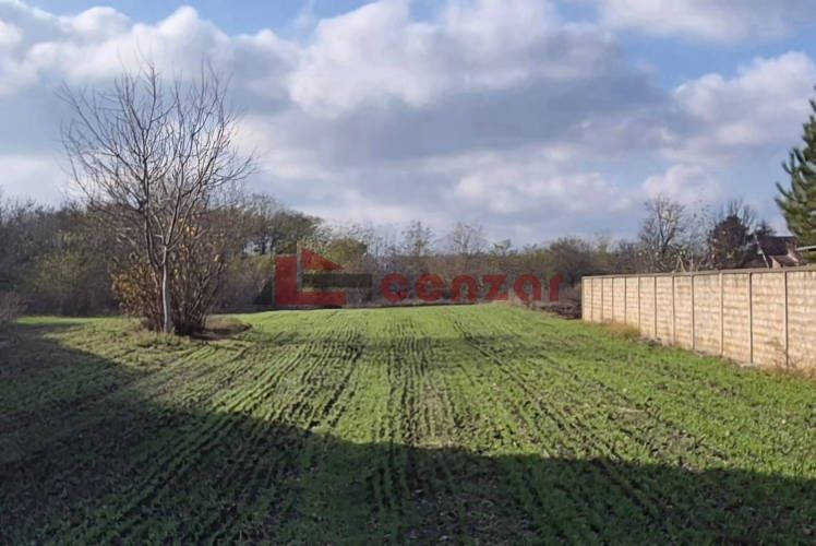 Plac, Makova Sedmica, 26.49a (ID: 109563) | Nekretnine Subotica