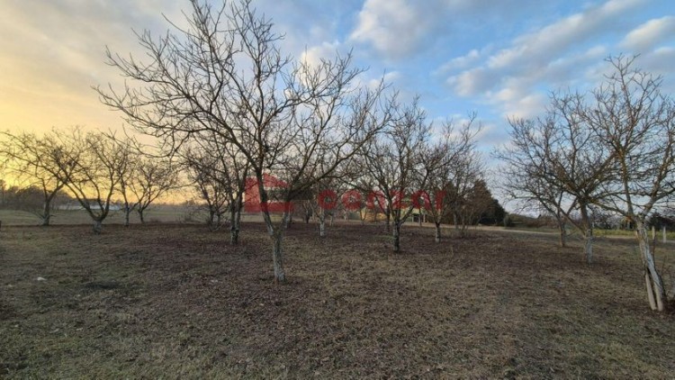 Plac, Palić, 70.3a (ID: 116568) | Nekretnine Subotica