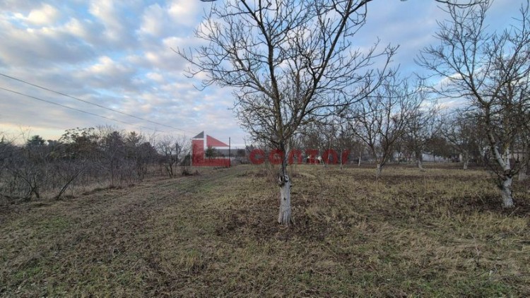 Plac, Palić, 10.46a (ID: 116582) | Nekretnine Subotica