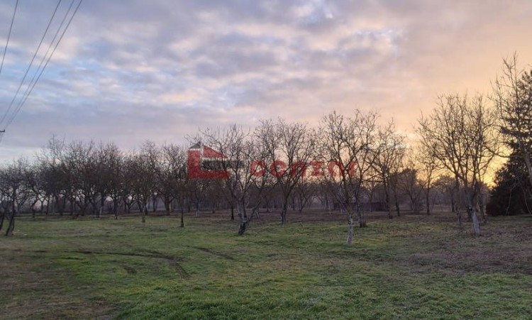 Plac, Palić, 9.93a (ID: 116586) | Nekretnine Subotica