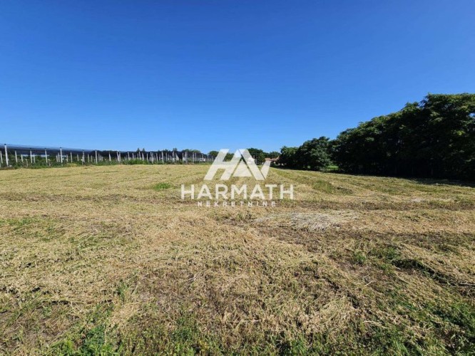 Plac, Horgoški put, 66.71a (ID: 96589) | Nekretnine Subotica