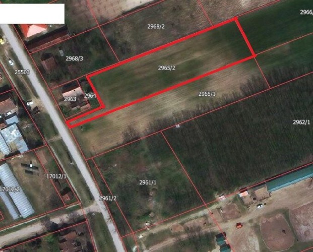 Plac, Radanovac, 35.63a (ID: 109609) | Nekretnine Subotica