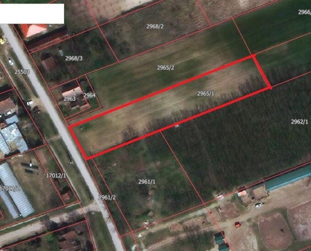 Plac, Radanovac, 37.61a (ID: 102615) | Nekretnine Subotica