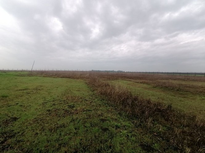 Plac, Đurđin, 40a (ID: 101624) | Nekretnine Subotica