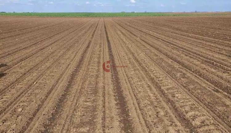 Plac, Đurđin, 253.58a (ID: 105634) | Nekretnine Subotica