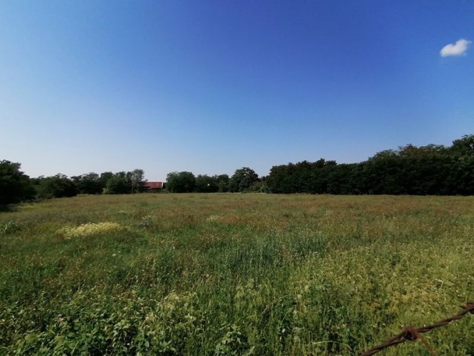 Plac, Željezničko Naselje, 80.47a (ID: 112655) | Nekretnine Subotica