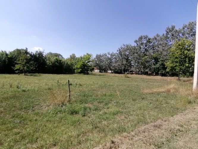 Plac, Palić, 60.96a (ID: 105668) | Nekretnine Subotica