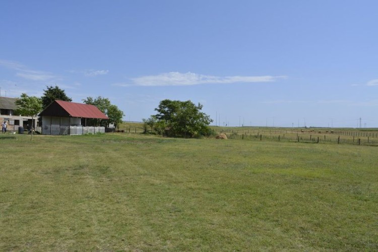 Plac, Palićke ugarnice, 145.42a (ID: 112668) | Nekretnine Subotica