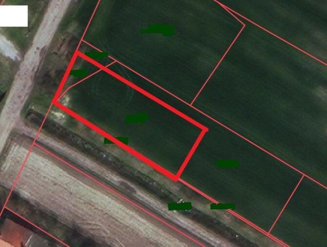 Plac, Mali Radanovac, 8.51a (ID: 109685) | Nekretnine Subotica