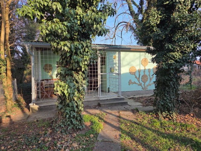 Kuća, Vikend Naselje, 29m2 (ID: 117729) | Nekretnine Subotica