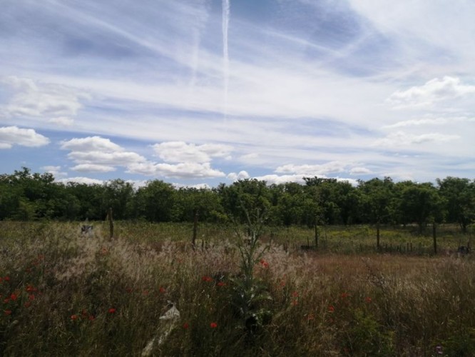 Plac, Makova Sedmica, 53.45a (ID: 111764) | Nekretnine Subotica